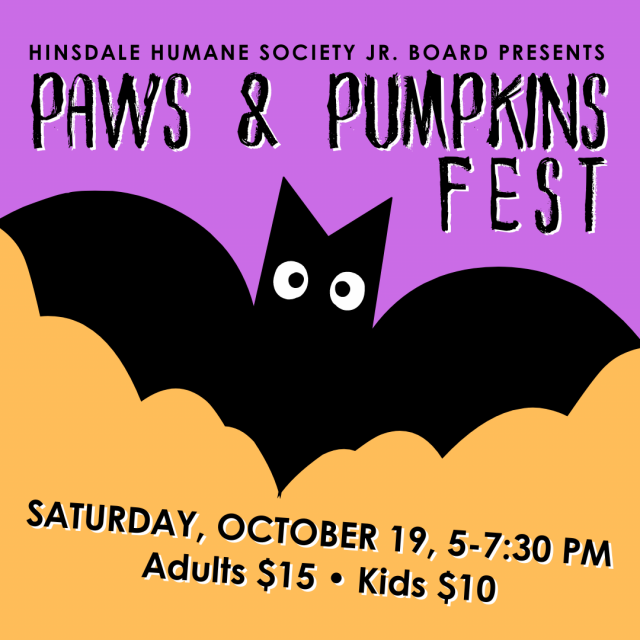 Paws  pumpkins fest-2