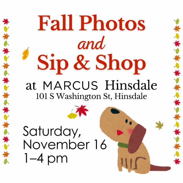 Marcus fall photos and sip  shop sq