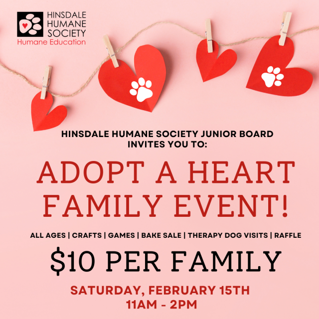 Adopt a heart jr. board feb 2025 sq