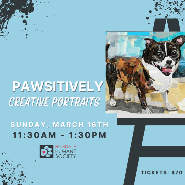 Pawsitively portratis march 2025 1080x1080