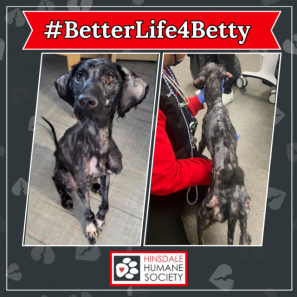 A Better Life for Betty